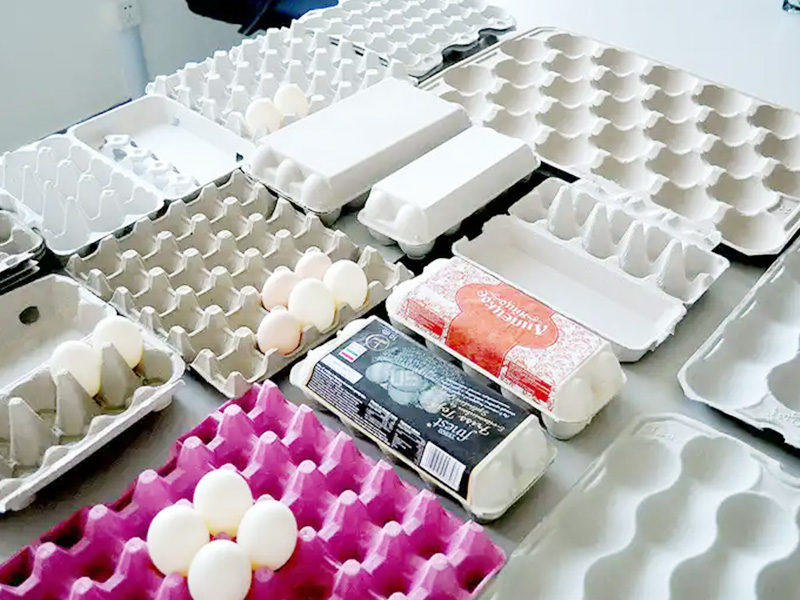 egg tray