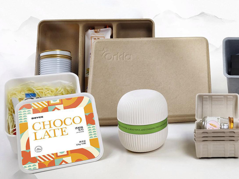 Food paper tray