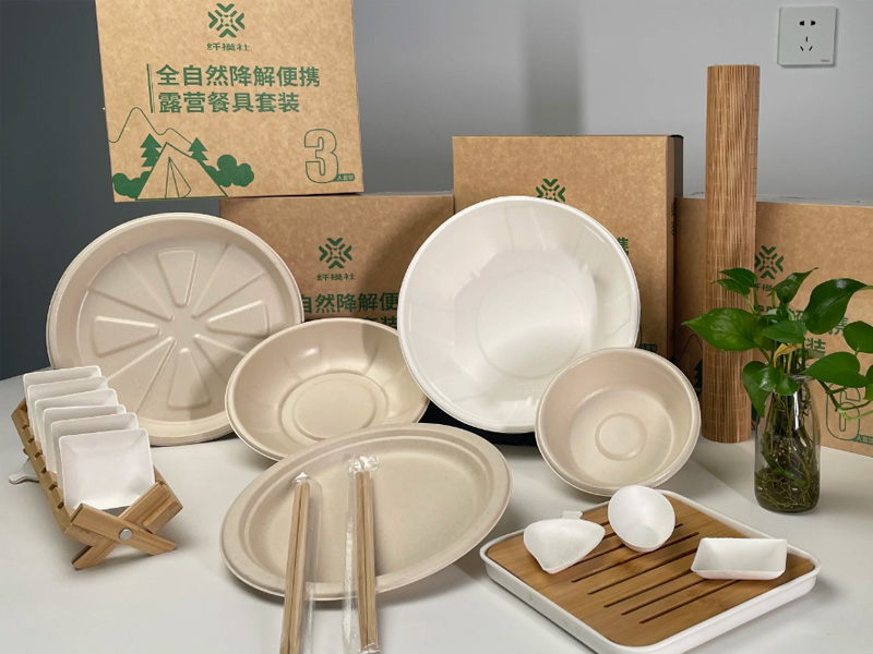 Paper tableware